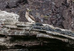 Wenn die Drachen schlafen.        DSC_8358