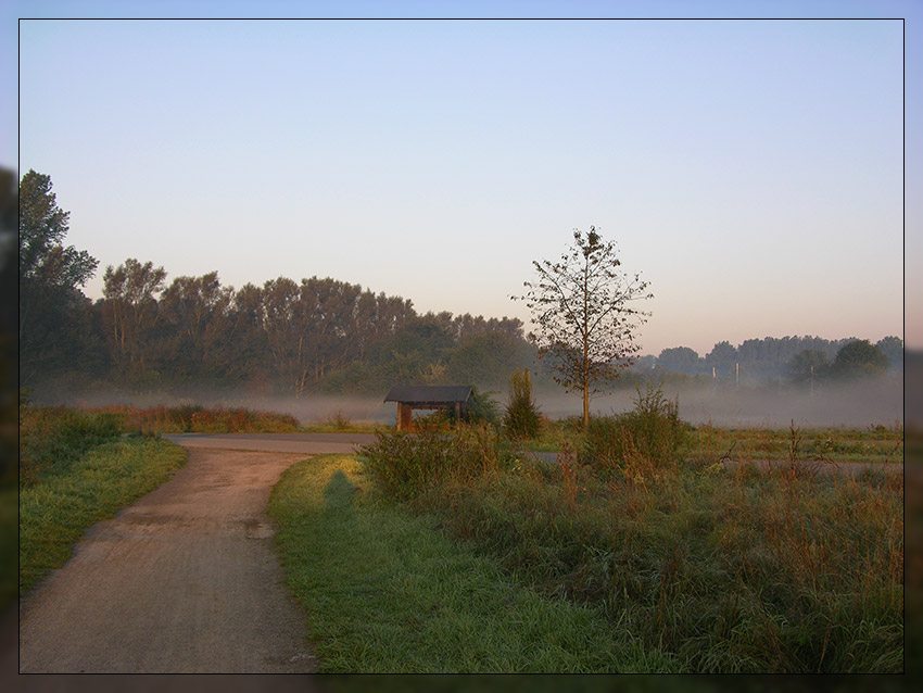 Wenn die ersten Sonnenstrahlen den Nebel verdrängen