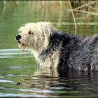 Wenn die Fotografin bis zum Bauch im Wasser steht..