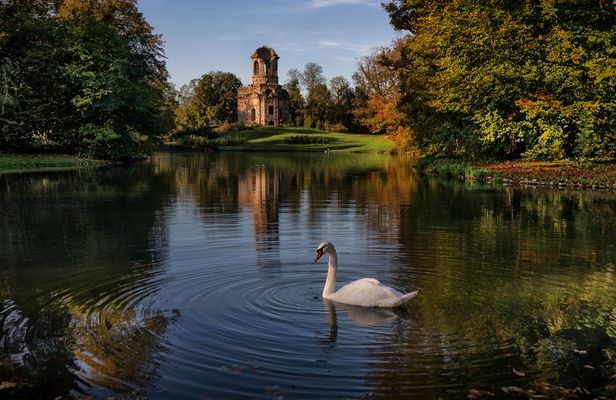 Wenn die Fotomotive vors Objektiv schwimmen....