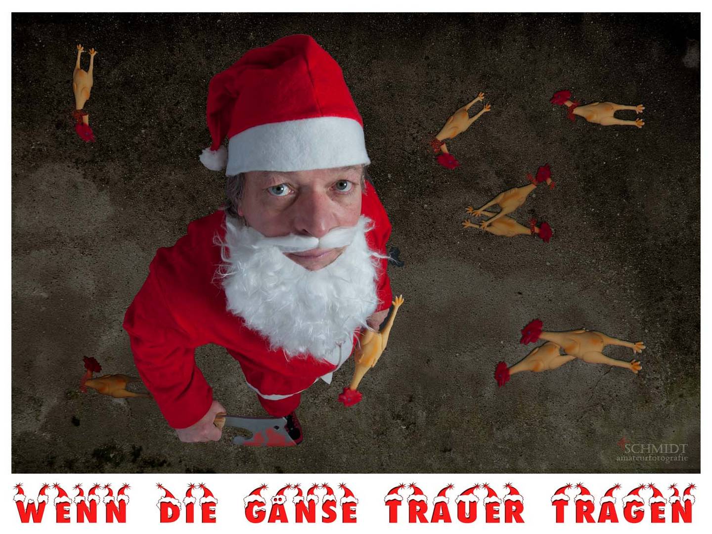 Wenn die Gänse Trauer tragen