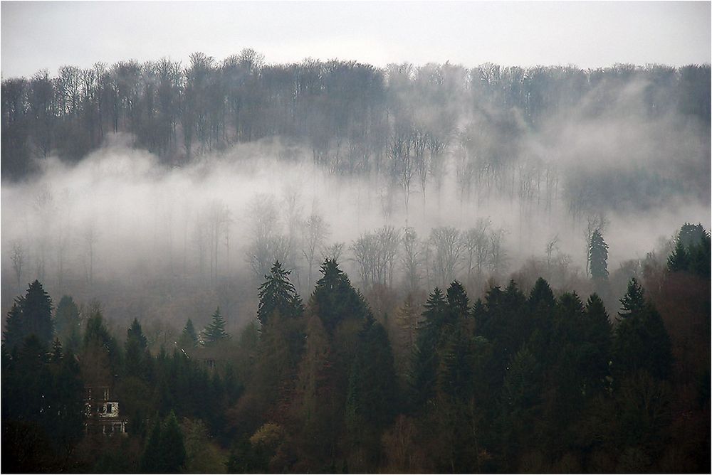 Wenn die Herbstnebel steigen.....