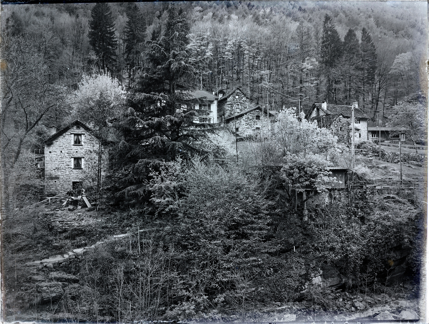 Wenn die Hexen tanzen im Wald