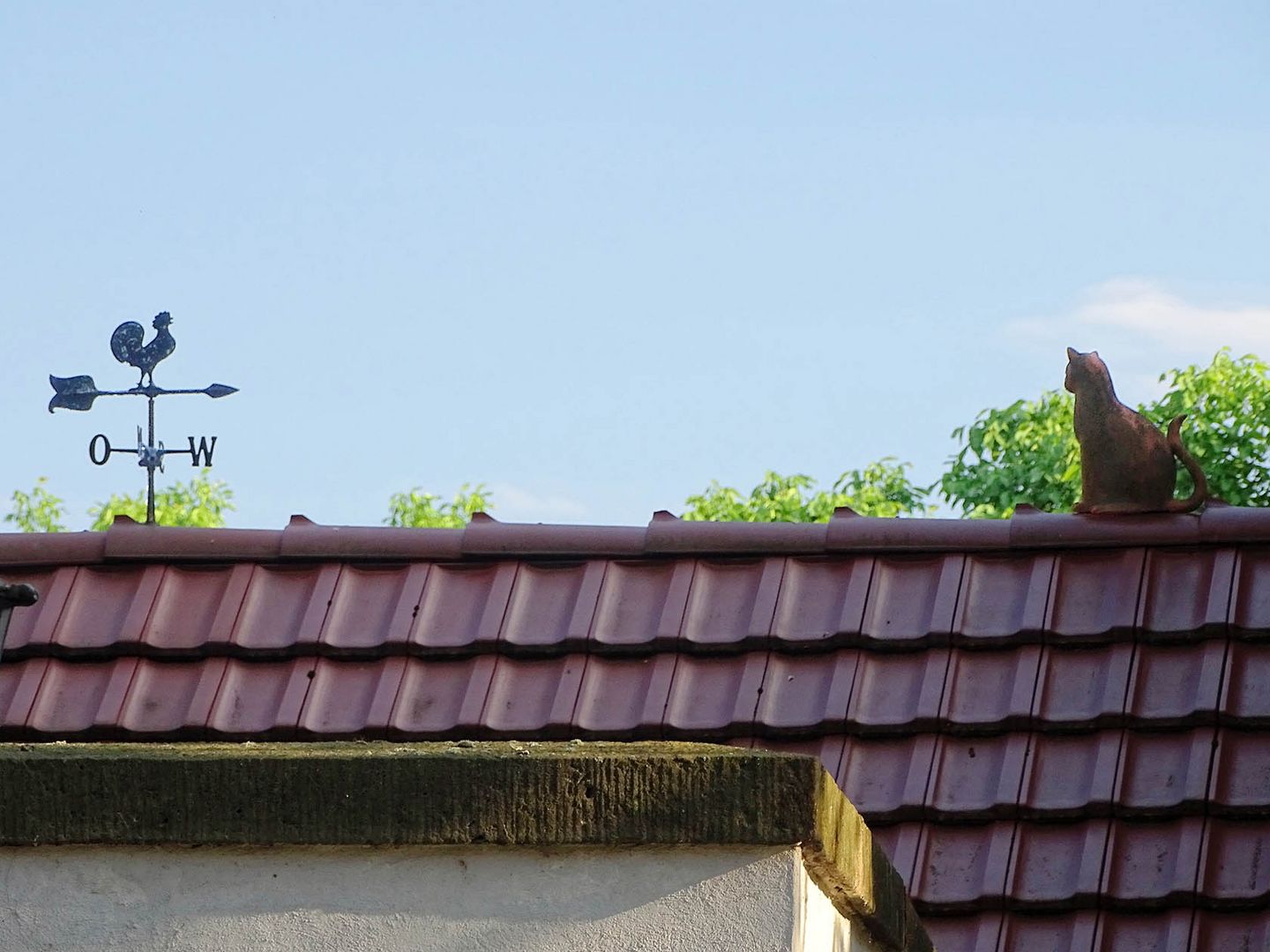 Wenn die Katze den Wetterhahn bewacht