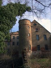 wenn die Mauer kippt und der Baum sich verneigt