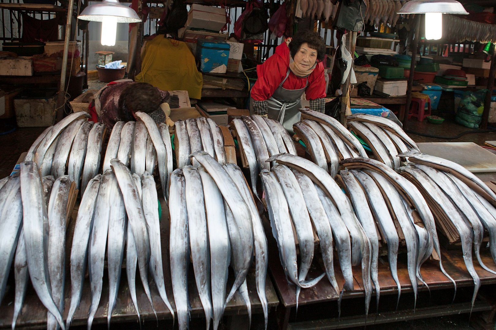 Wenn die Menschen dich um Fisch bitten, gib ihnen eine Angel. Aus Indien