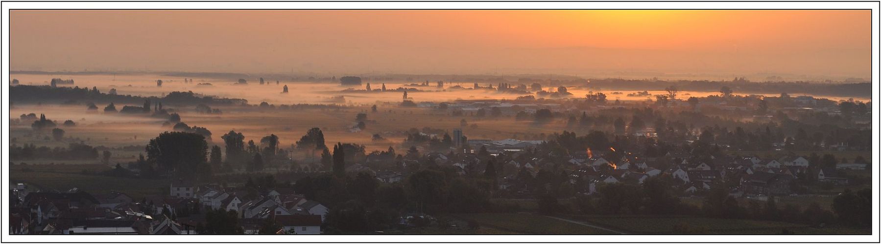 Wenn die Morgensonne den Nebel küsst...