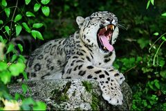 ... wenn die Müdigkeit kommt ...