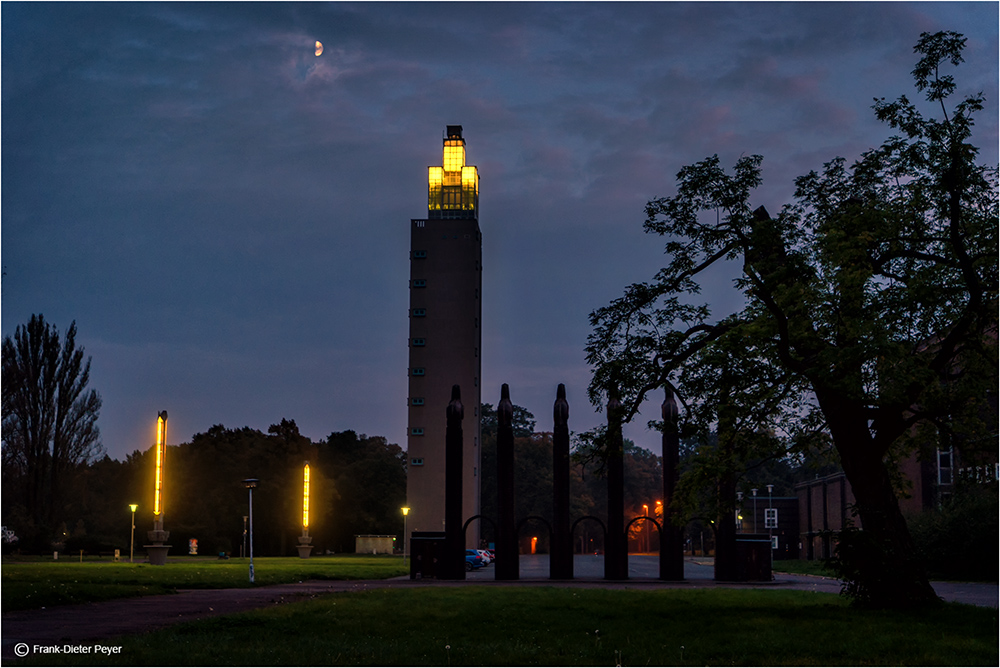 Wenn die Nacht anbricht über Magdeburg (3)