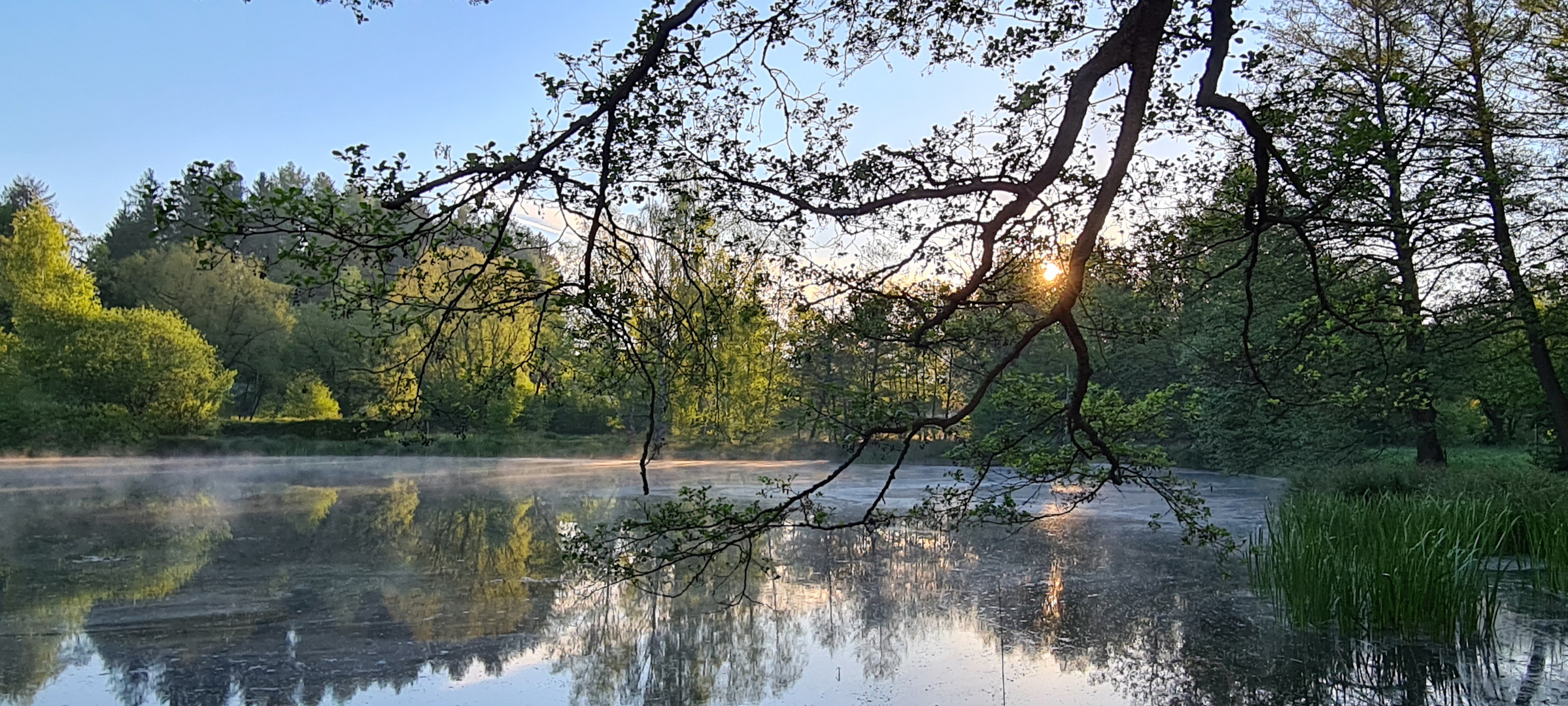 wenn die Natur erwacht