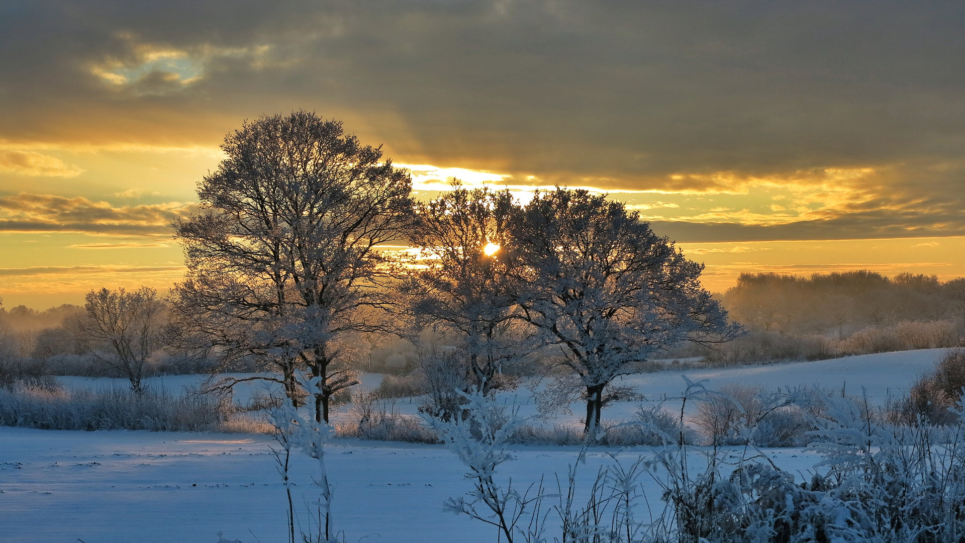 ..wenn die Natur ihr Winterkleid trägt ...