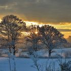 ..wenn die Natur ihr Winterkleid trägt ...