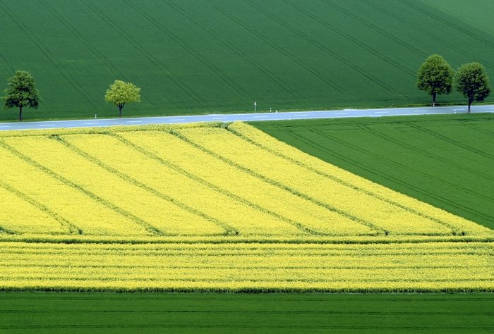 Wenn die Natur malt ...