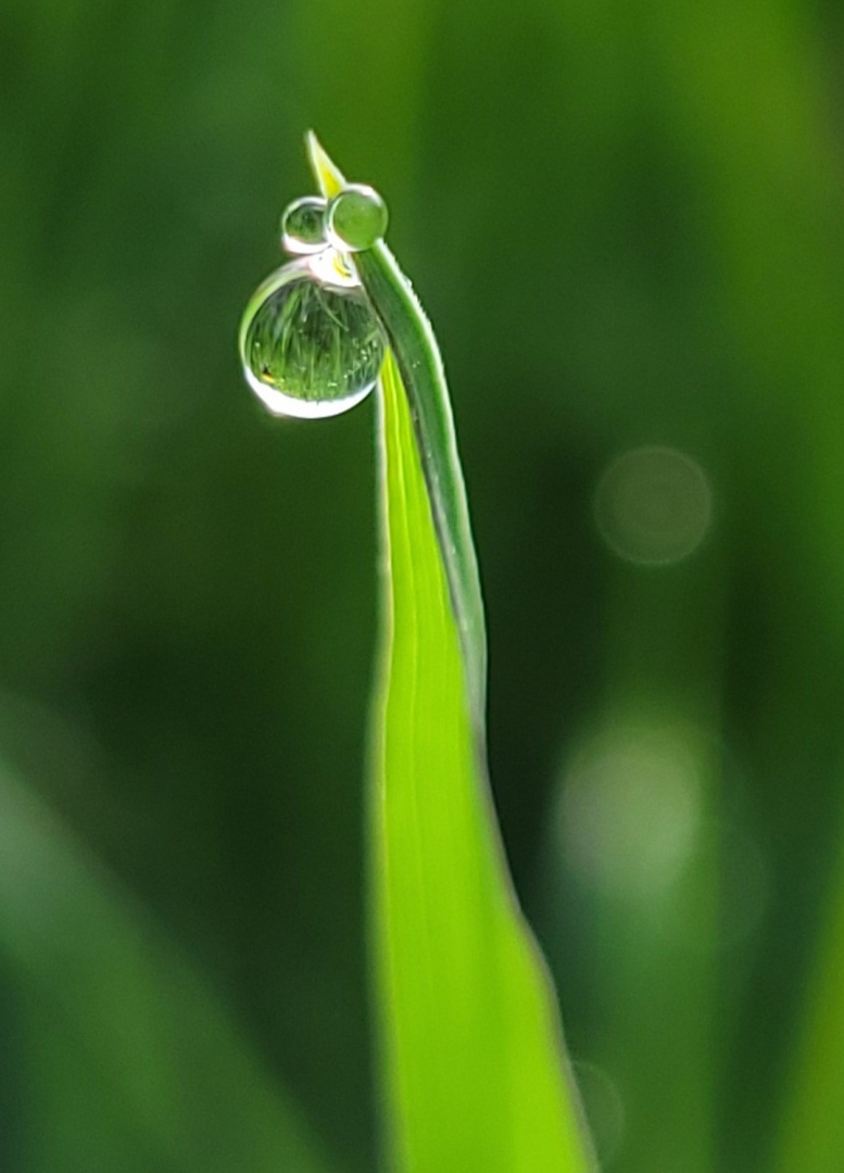 Wenn die Natur zum Künstler wird