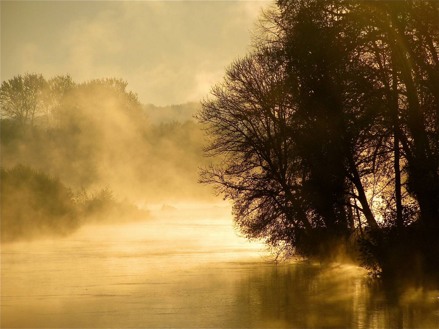 ..WENN DIE NEBEL FALLEN 1 !!!