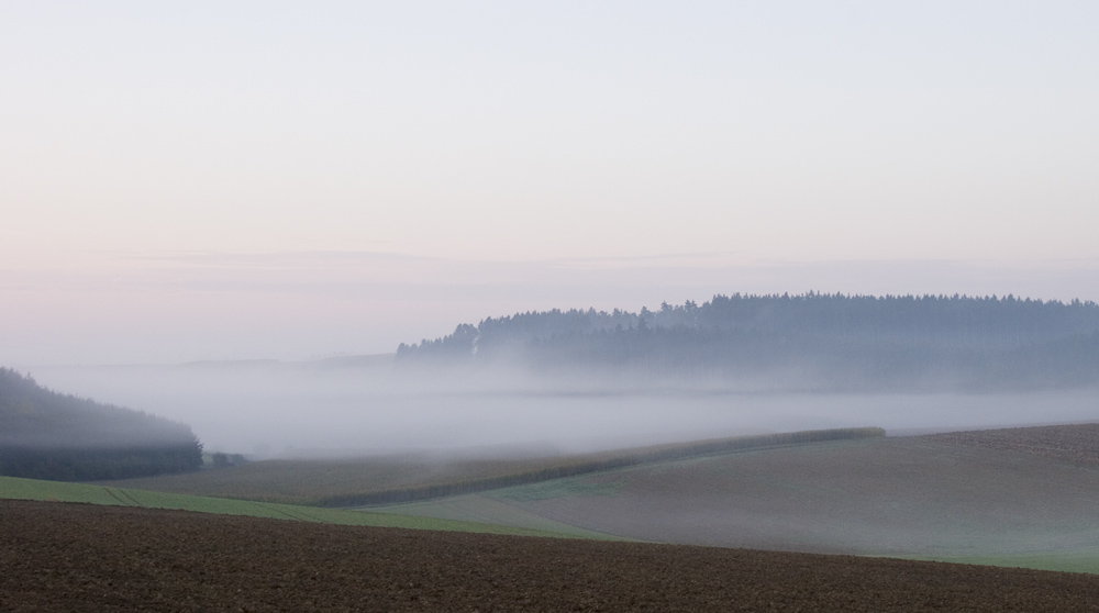 Wenn die Nebel schwaden