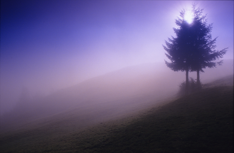 Wenn die Nebel steigen...