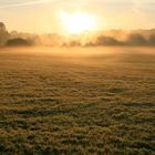 Wenn die Nebel steigen