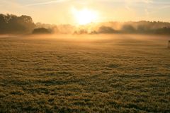 Wenn die Nebel steigen