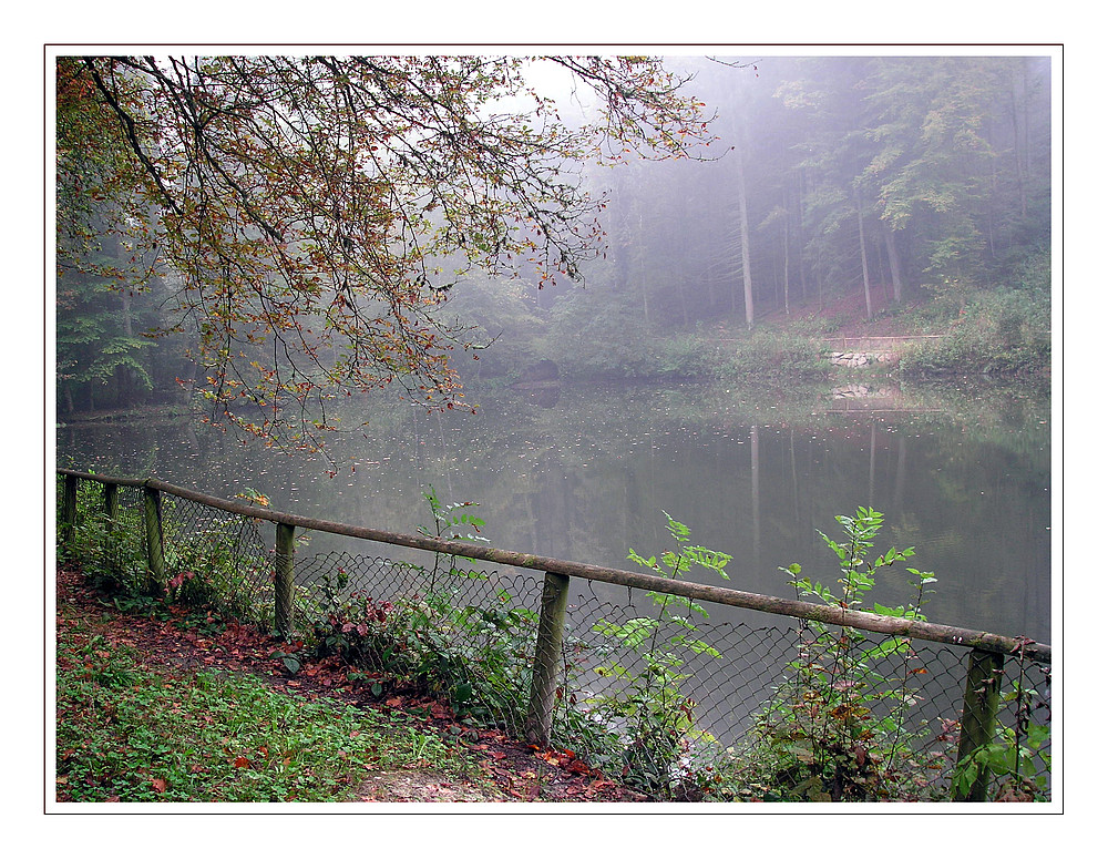 Wenn die Nebel wandern...