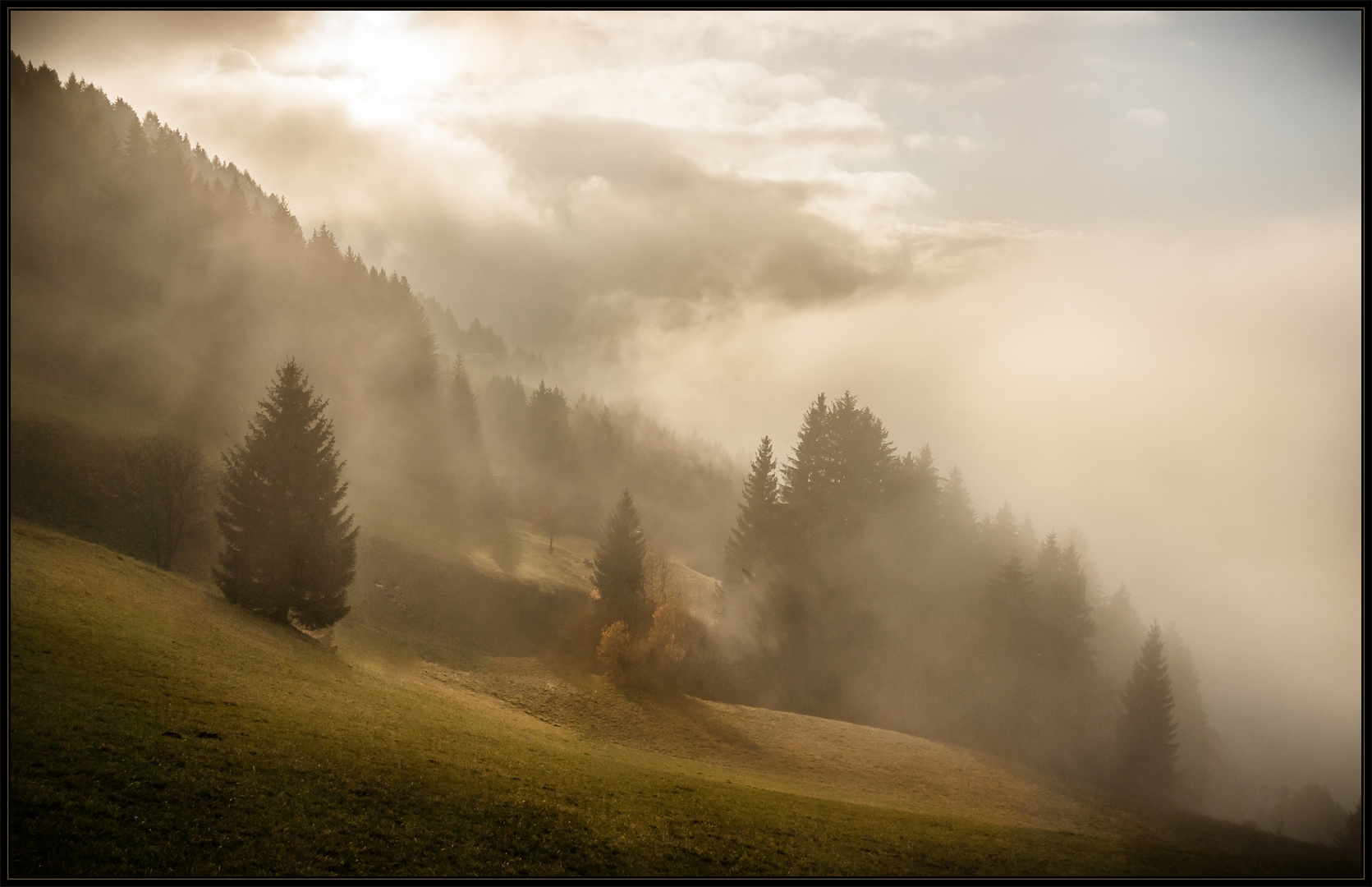 wenn die Nebel ziehen