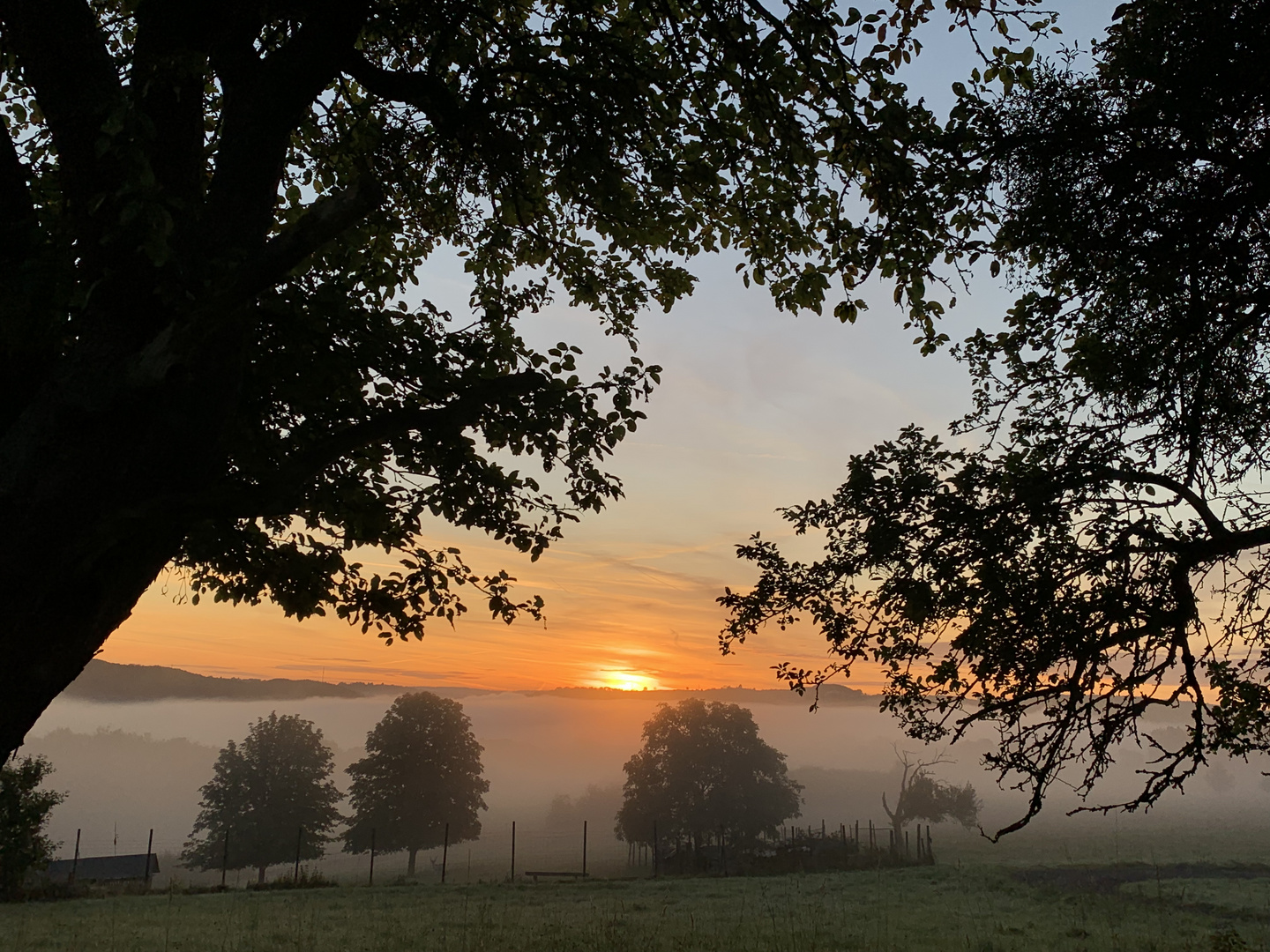 Wenn die Oktober Sonne den Morgennebel frisst