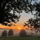 Wenn die Oktober Sonne den Morgennebel frisst