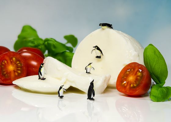 Wenn die Pinguine...