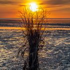 Wenn die rote Sonne im Meer versinkt