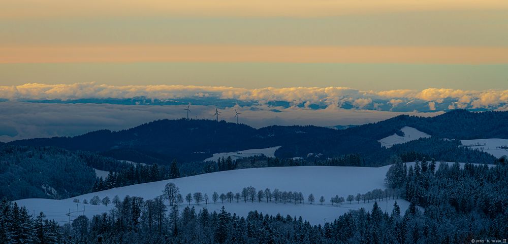 Wenn die Schatten blau werden...