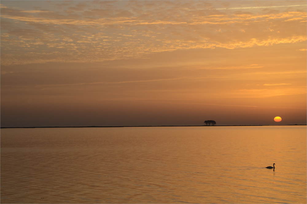 wenn die Sonne aus dem Meer steigt...