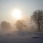 Wenn die Sonne den Eisnebel verdrängt...