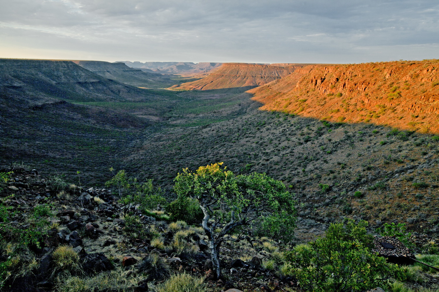 Wenn die Sonne den Fels ergreift, am Grootberg_Namibia