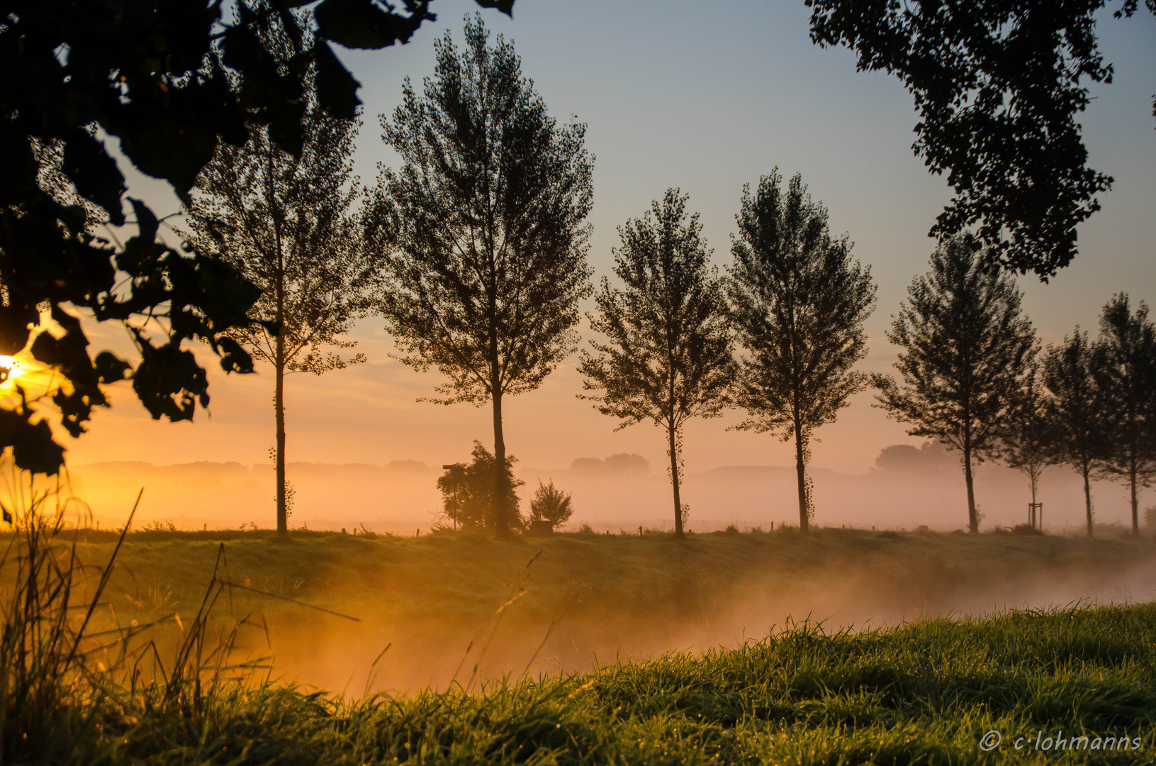 wenn die Sonne den Nebel auflöst