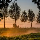 wenn die Sonne den Nebel auflöst