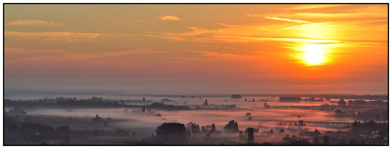 Wenn die Sonne den Nebel küsst... #3