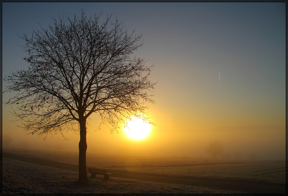 wenn die Sonne den Nebel vertreibt...