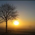 wenn die Sonne den Nebel vertreibt...