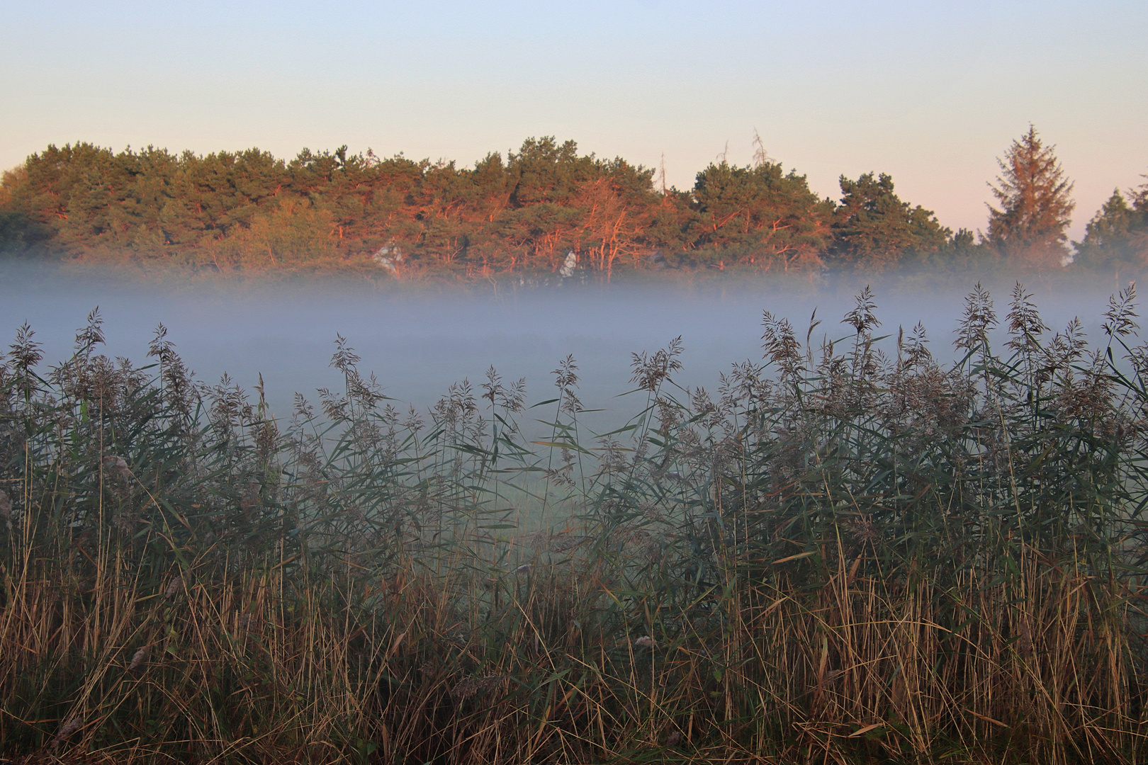 ...wenn die Sonne den Nebel weckt..