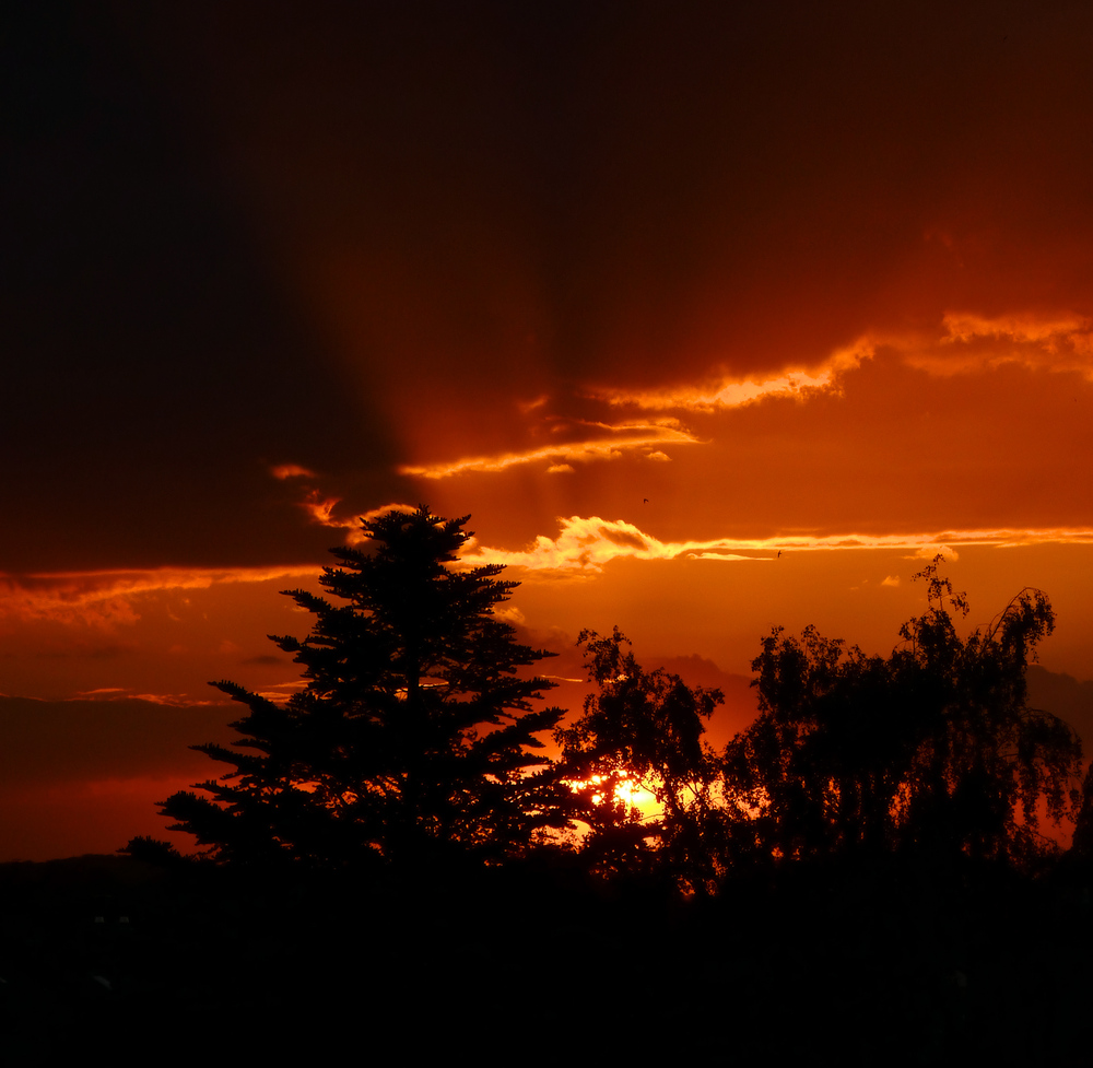 Wenn die Sonne die Wolken bricht