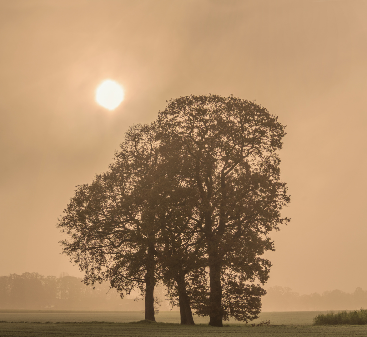 wenn die Sonne durchkommt