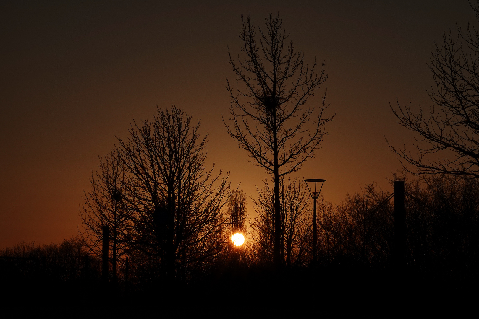 wenn die Sonne, hinter den Bäumen versinkt