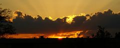 Wenn die Sonne hinter den Dächern versinkt... (ein Musiktitel von Zarah Leander)