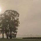 wenn die Sonne Kraft bekommt 