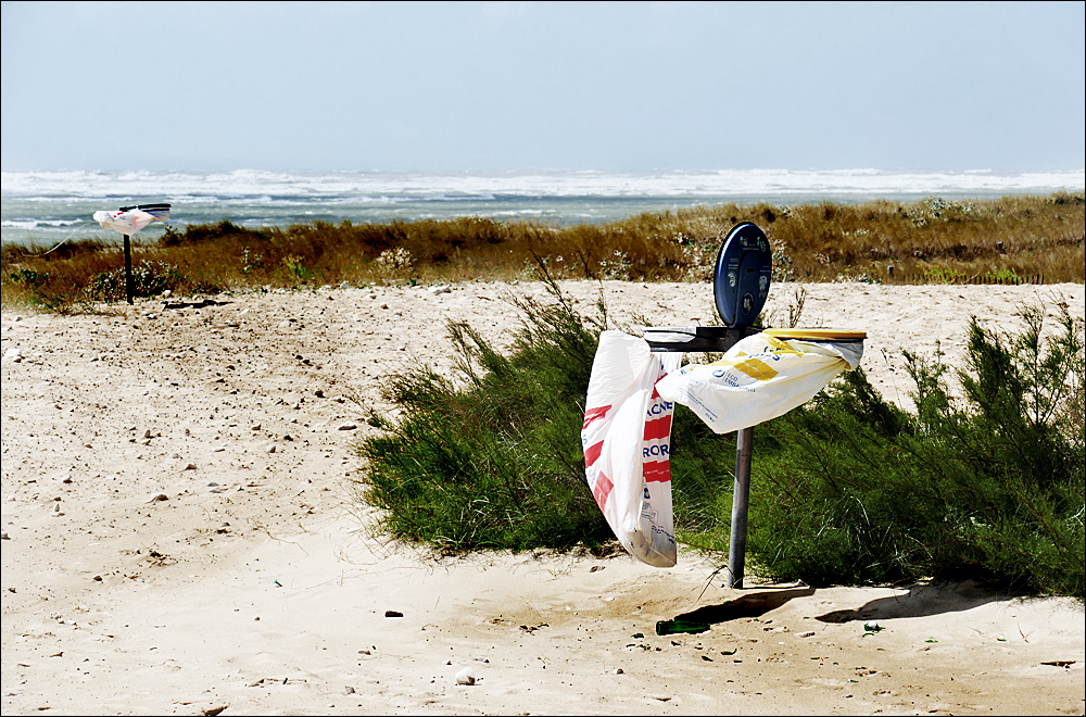 Wenn die Sonne mit dem Wind