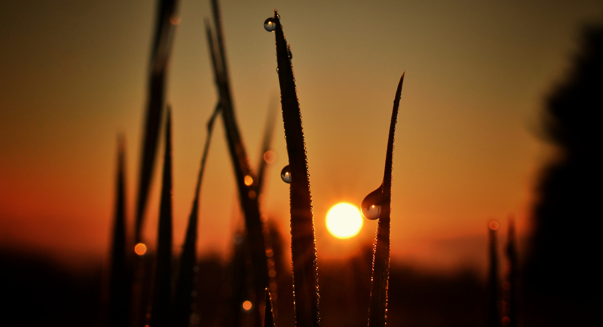 Wenn die Sonne morgens an der Nase kitzelt... 