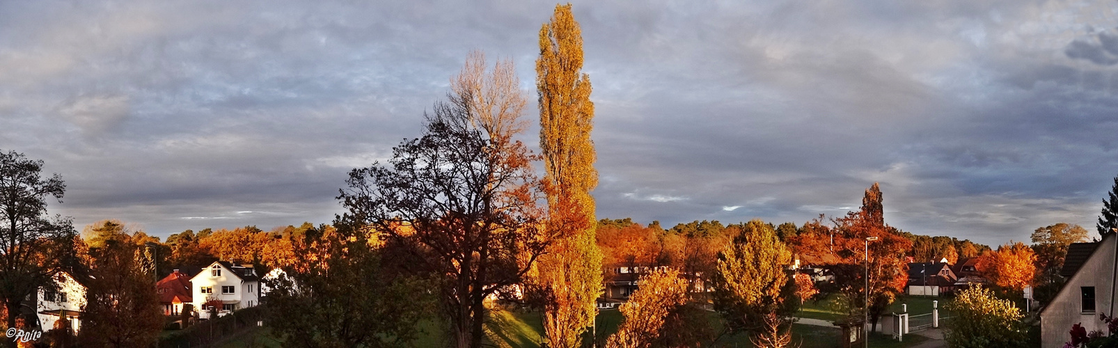 Wenn die Sonne morgens die ersten Sonnenstrahlen auf die Erde schickt...