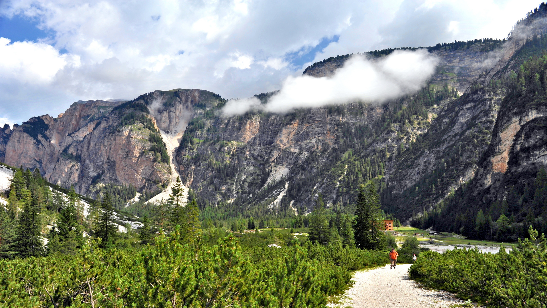 Wenn die Sonne scheint im Nationalpark