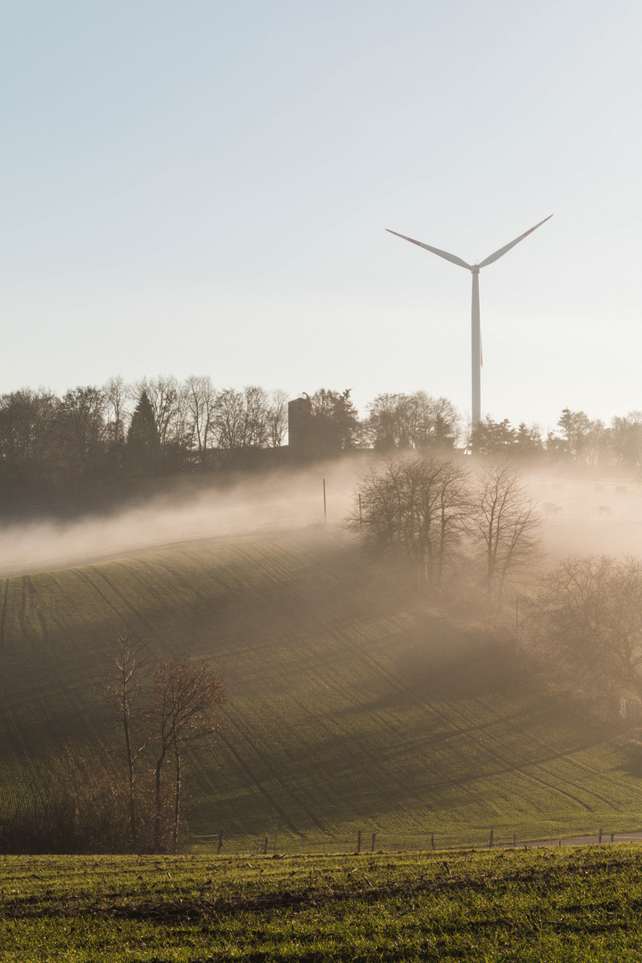 Wenn die Sonne sich für einen kurzen Moment durch den Nebel kämpft