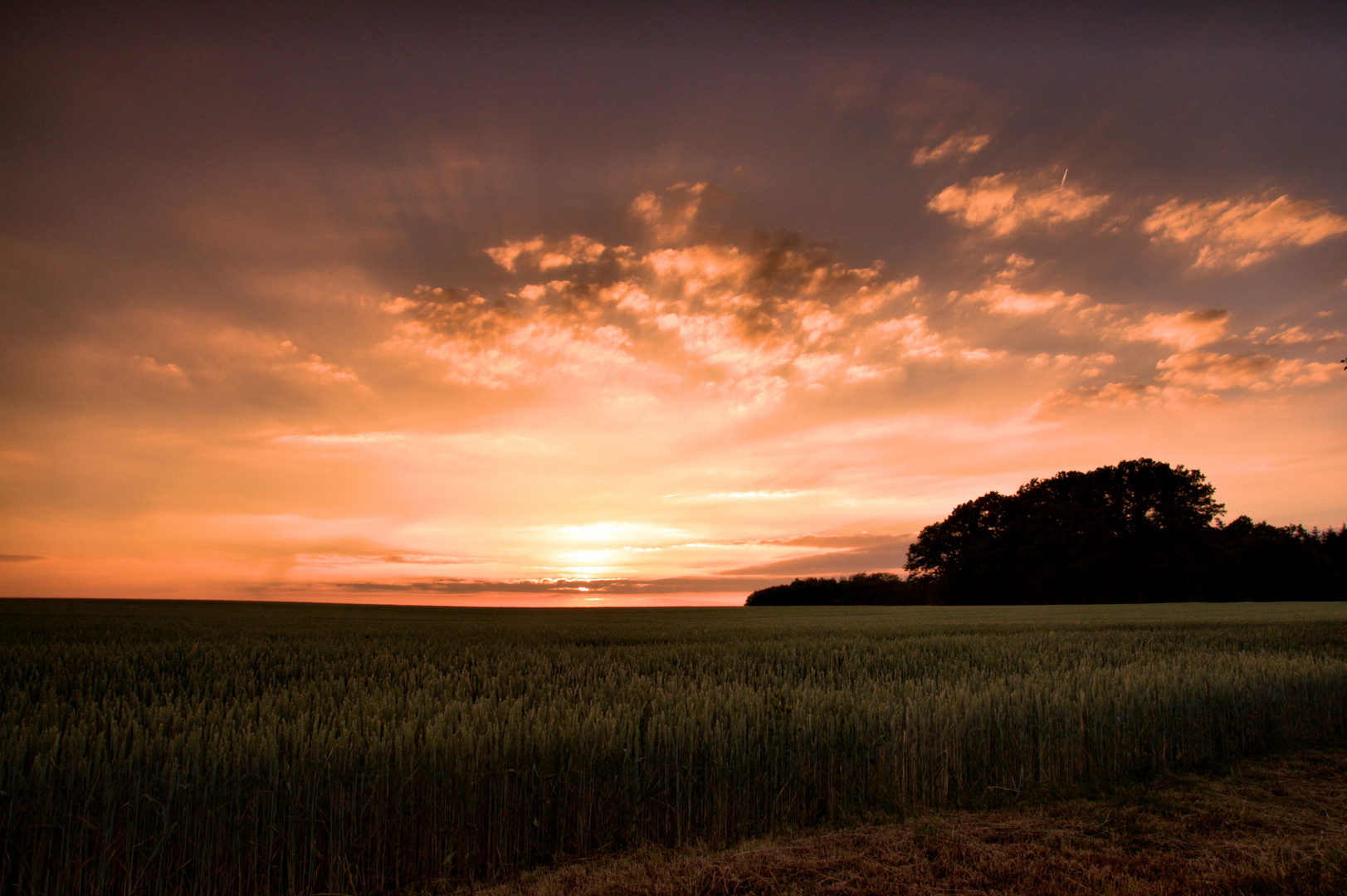 wenn die Sonne Stimmung macht